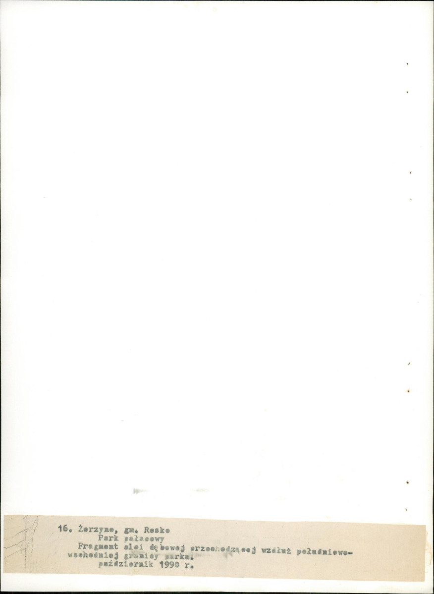 Ewidencja parkowa, skan nr 59