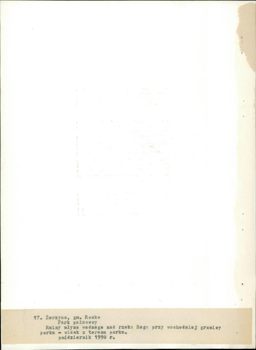 Ewidencja parkowa, skan nr 61