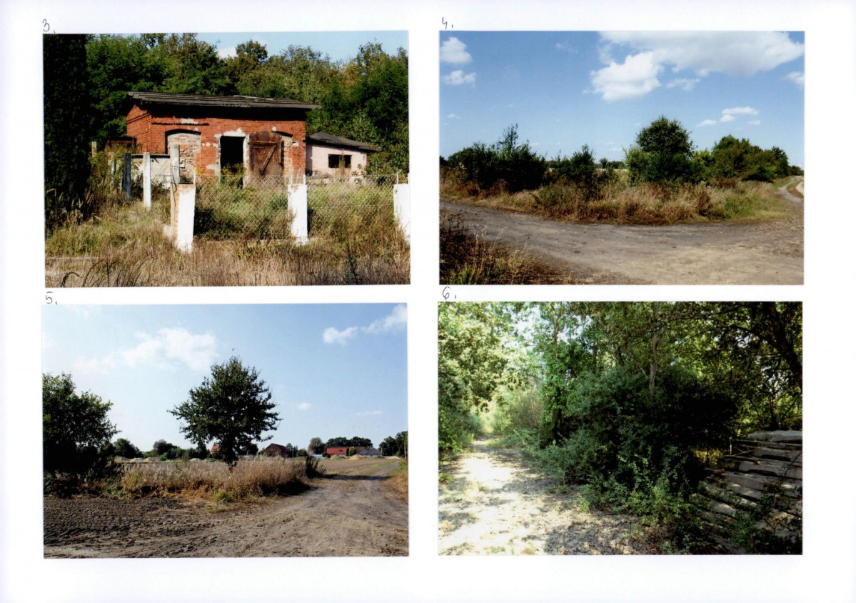 Karta biała, skan nr 96