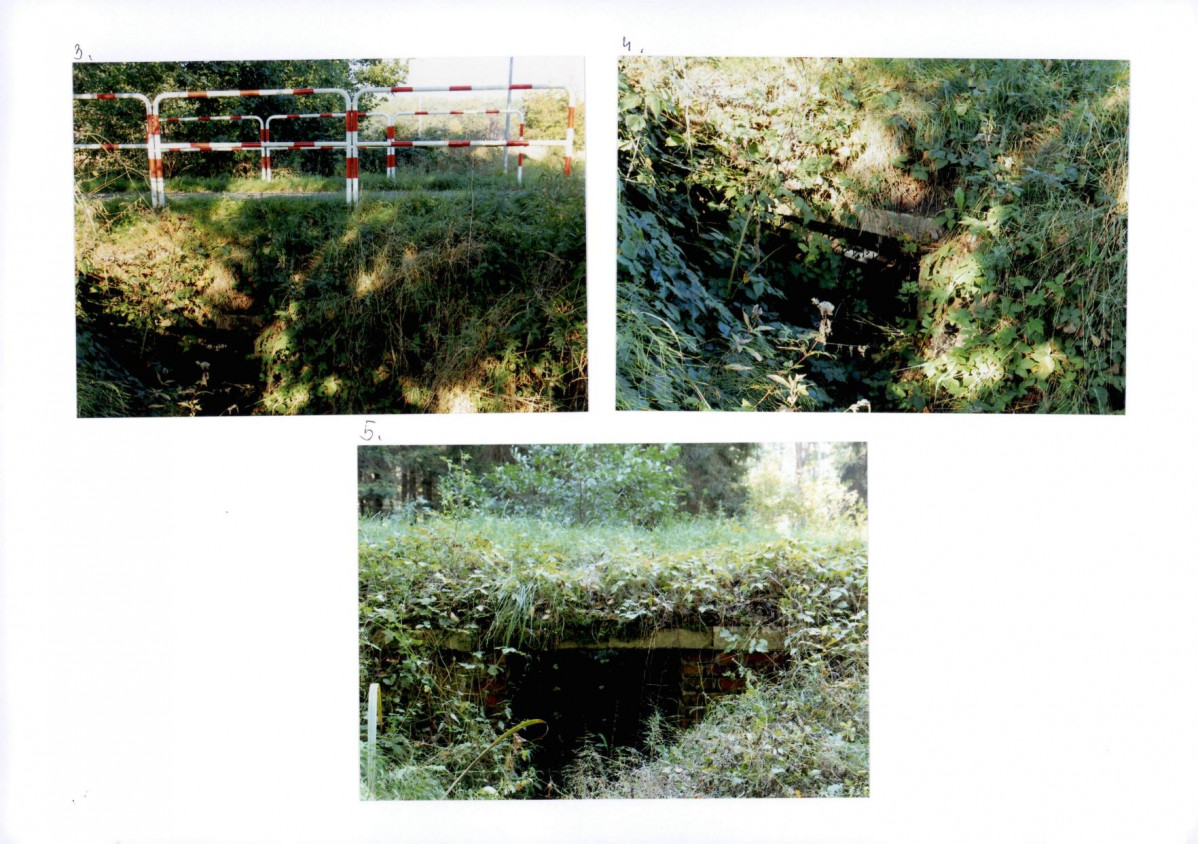 Karta biała, skan nr 133