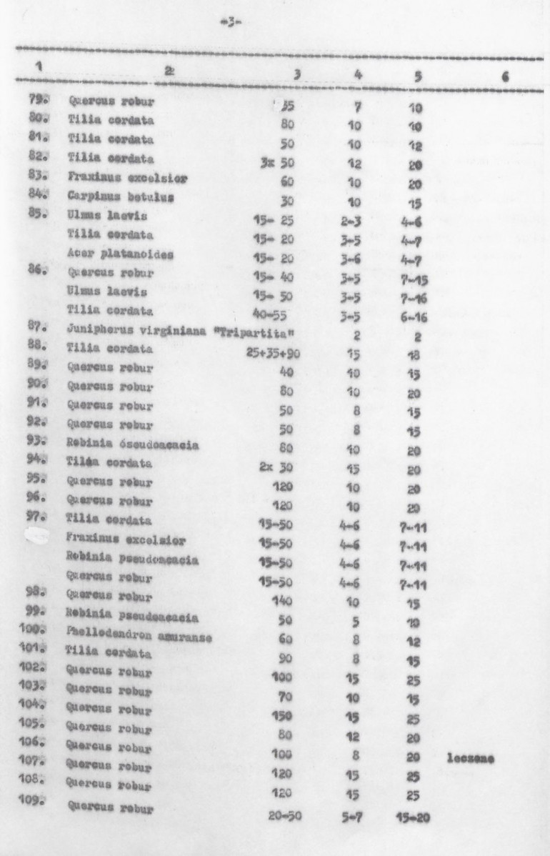 Ewidencja parkowa, skan nr 40