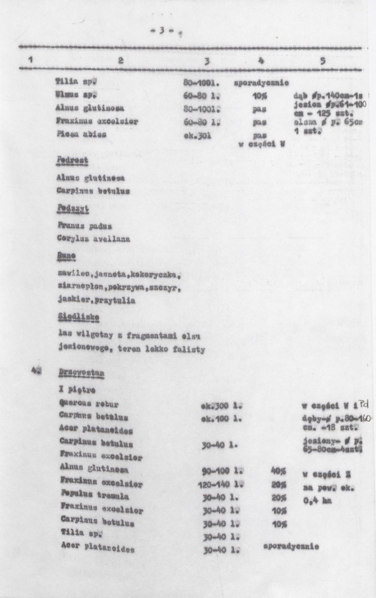Ewidencja parkowa, skan nr 45