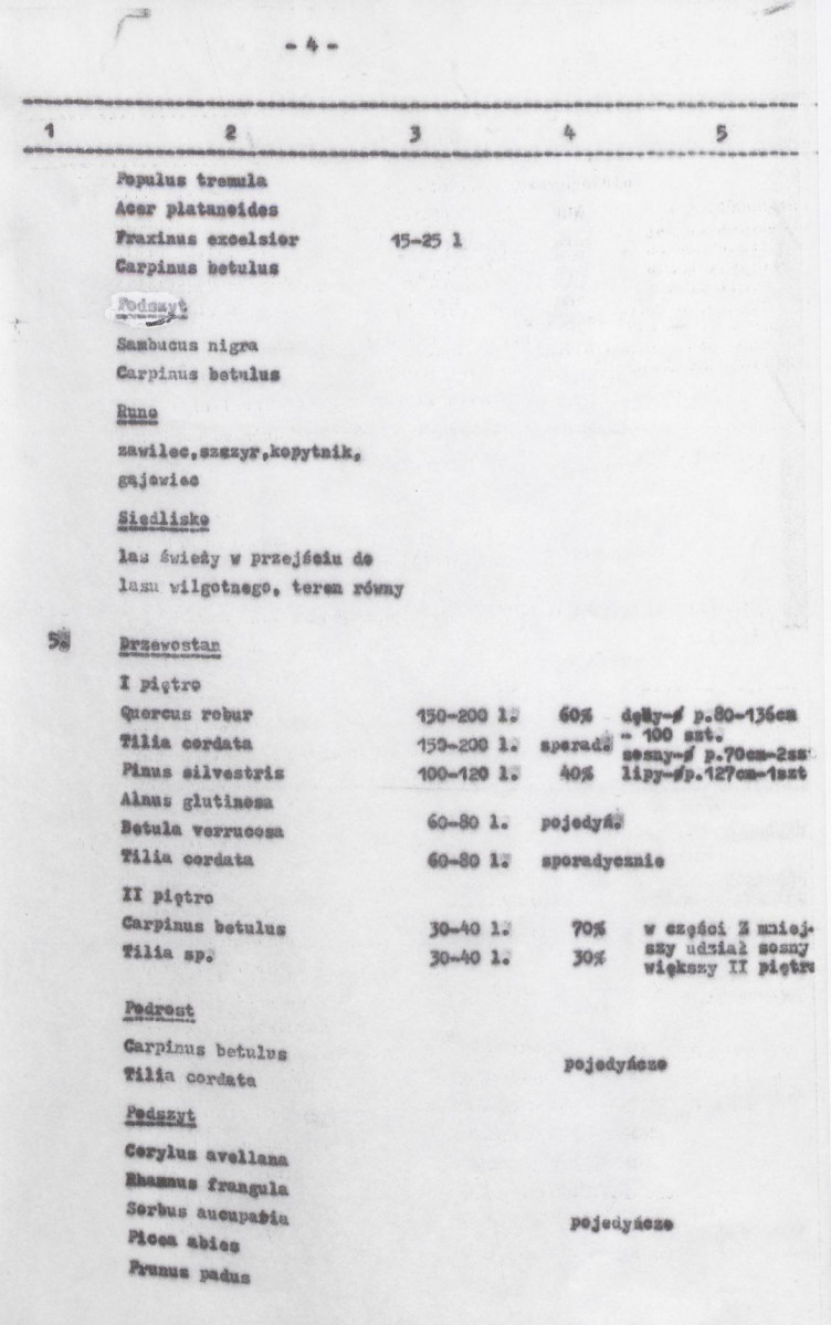 Ewidencja parkowa, skan nr 46