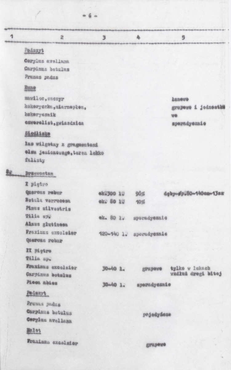 Ewidencja parkowa, skan nr 48