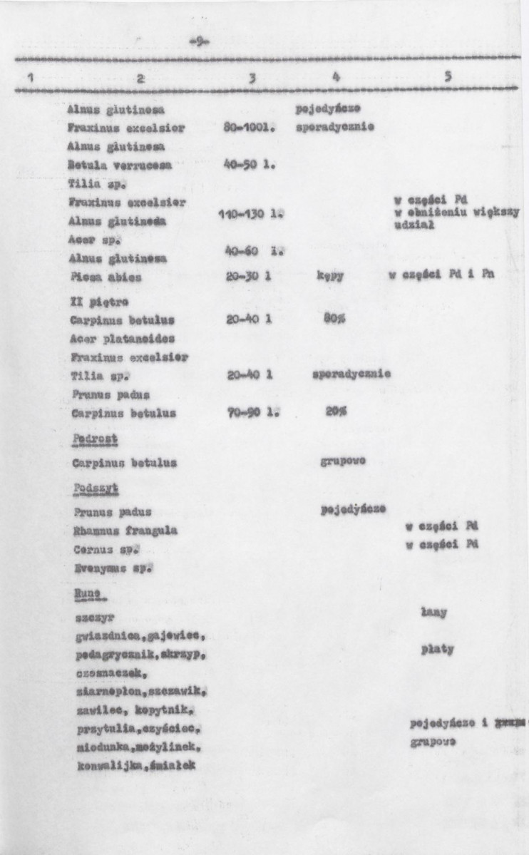 Ewidencja parkowa, skan nr 51