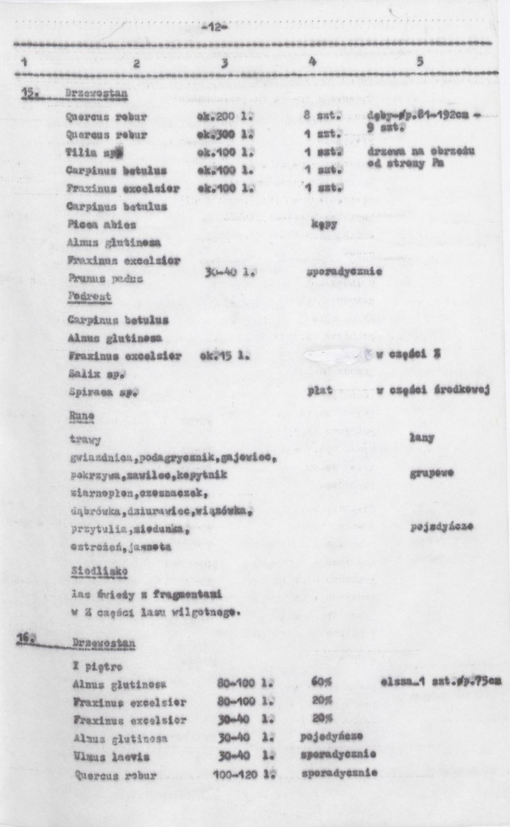 Ewidencja parkowa, skan nr 54