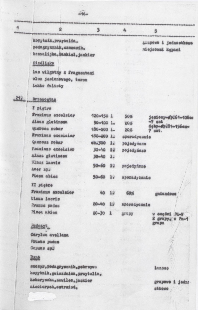 Ewidencja parkowa, skan nr 58