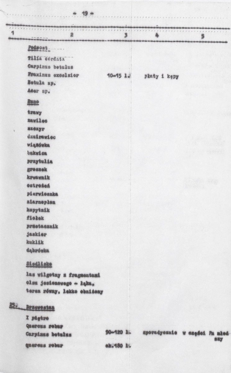 Ewidencja parkowa, skan nr 61