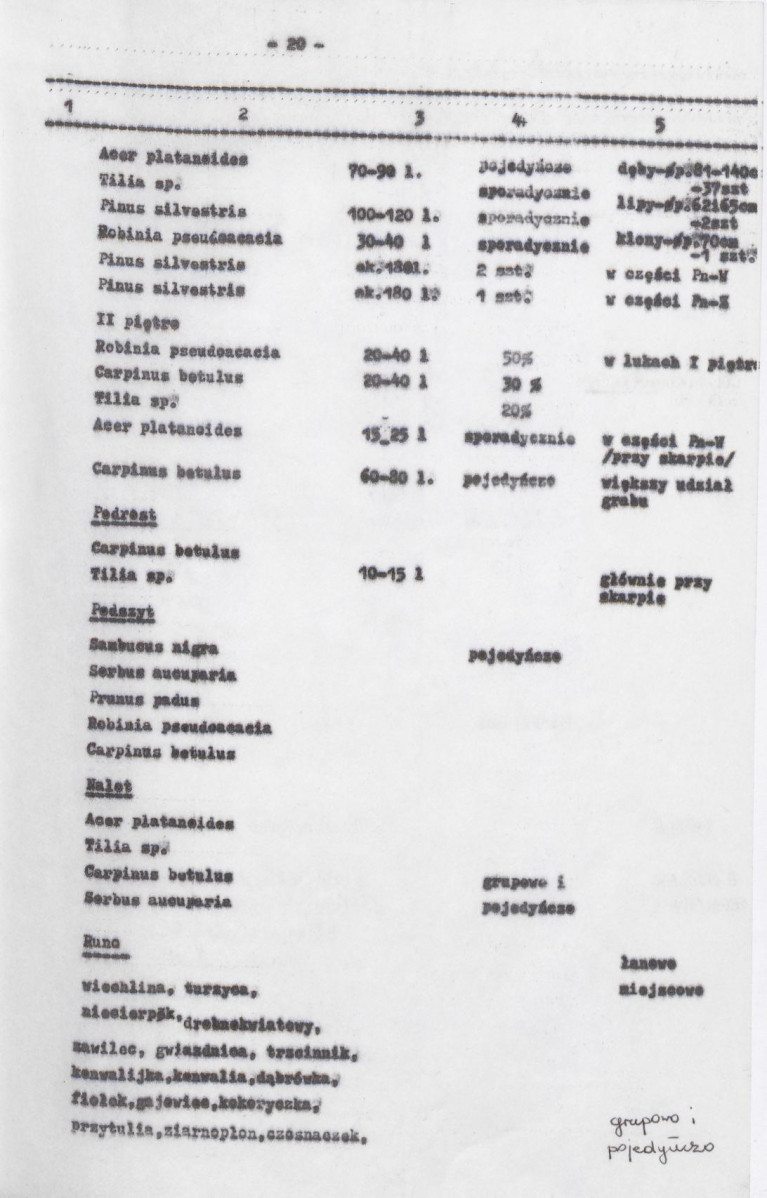 Ewidencja parkowa, skan nr 62