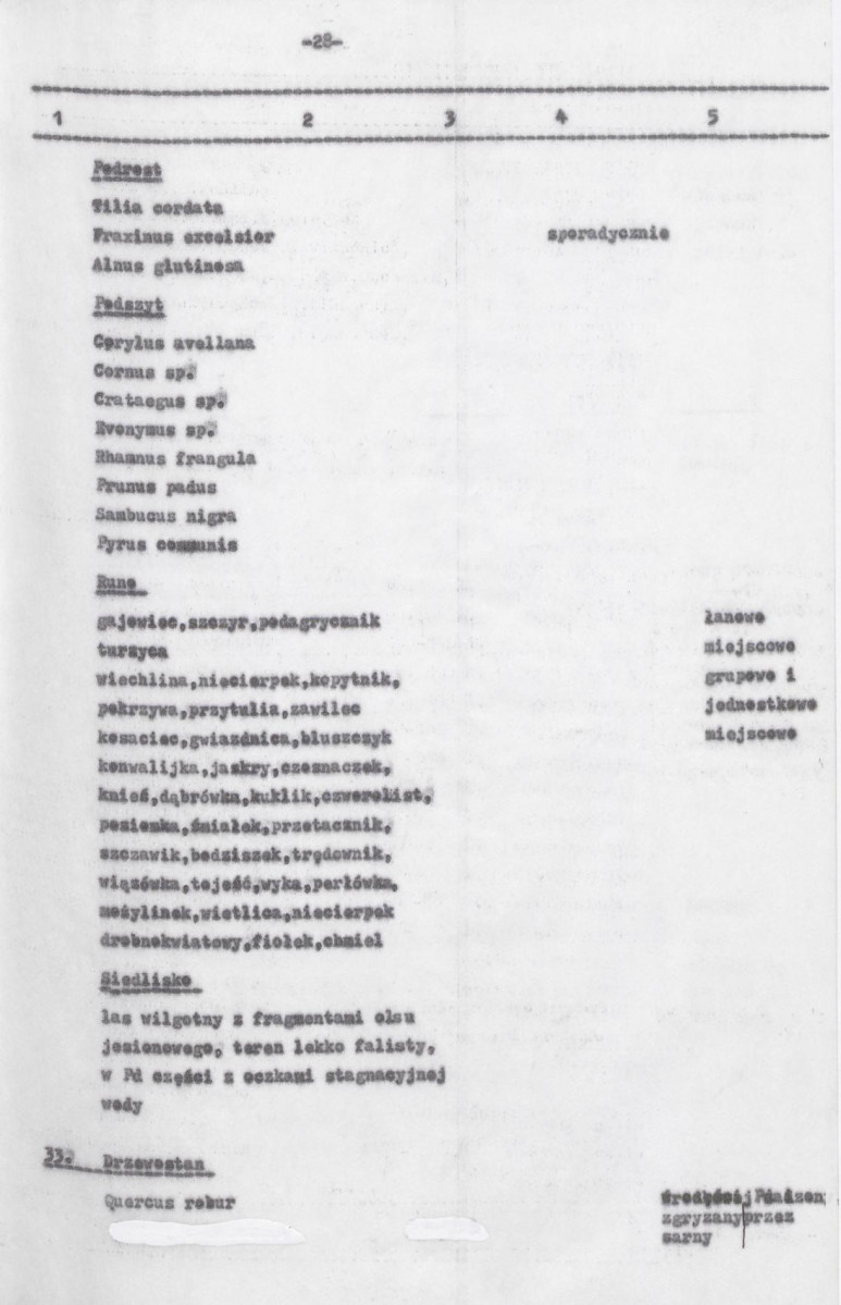 Ewidencja parkowa, skan nr 70