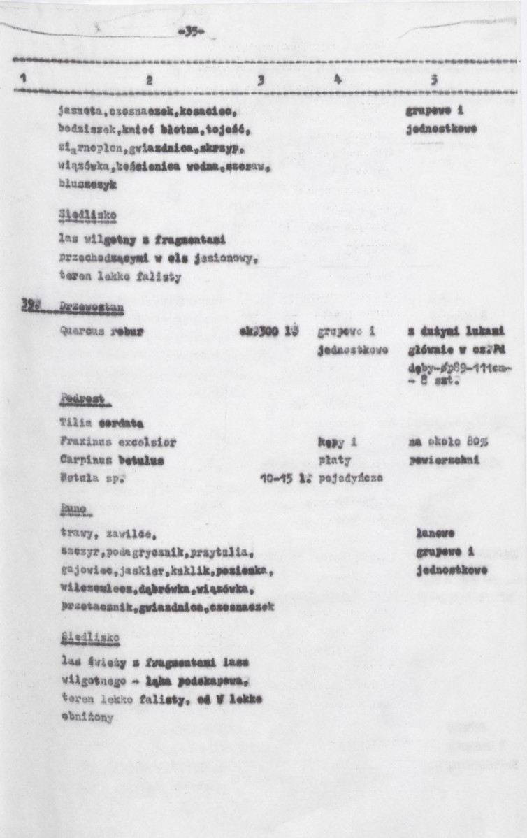 Ewidencja parkowa, skan nr 77