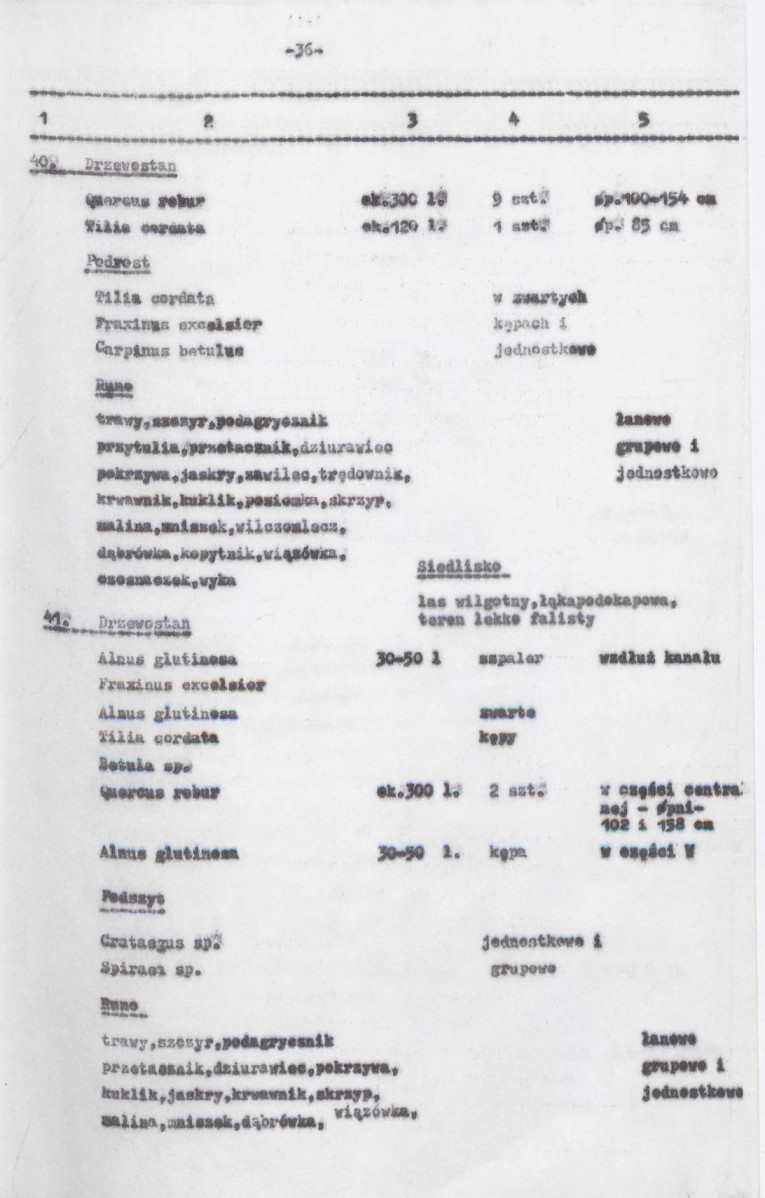 Ewidencja parkowa, skan nr 78