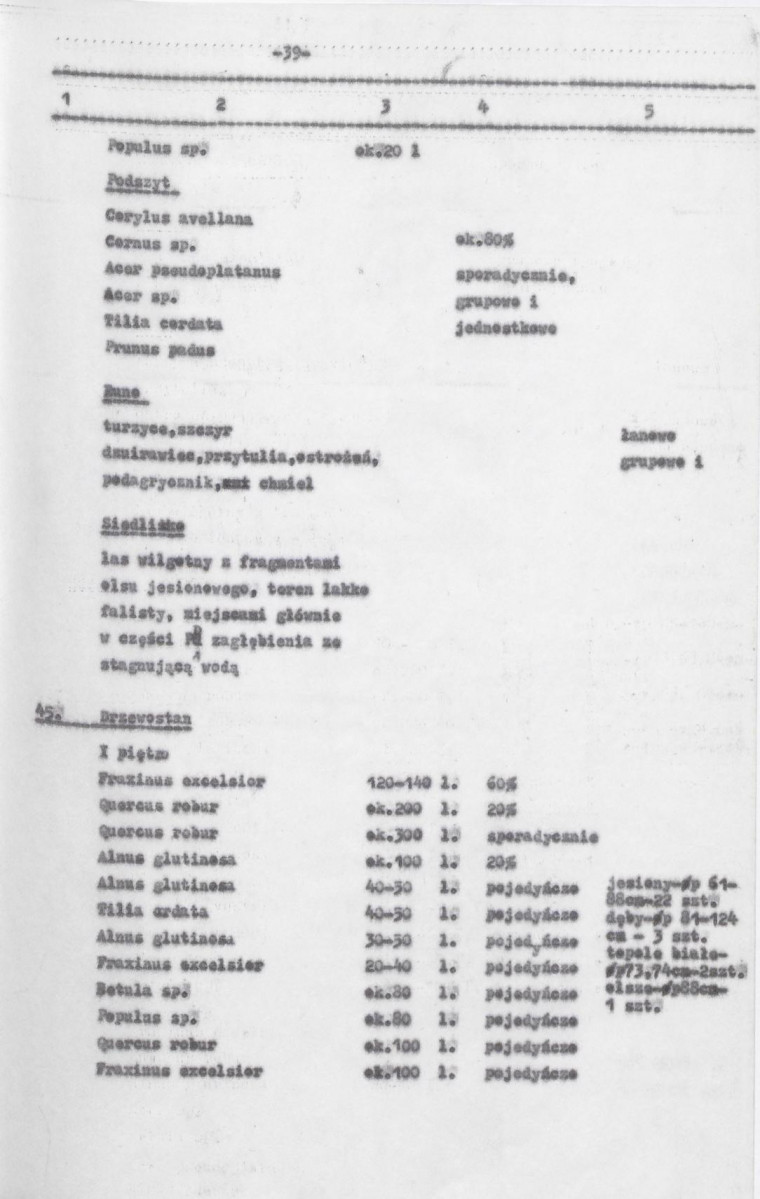 Ewidencja parkowa, skan nr 81