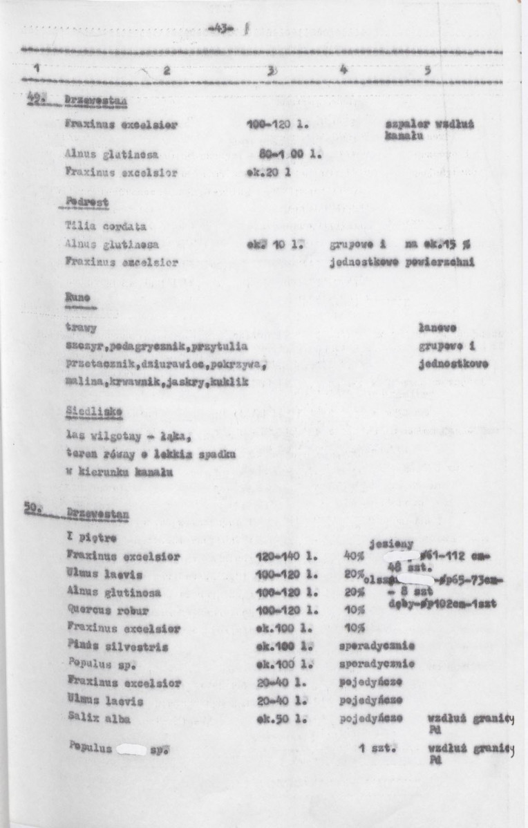 Ewidencja parkowa, skan nr 85