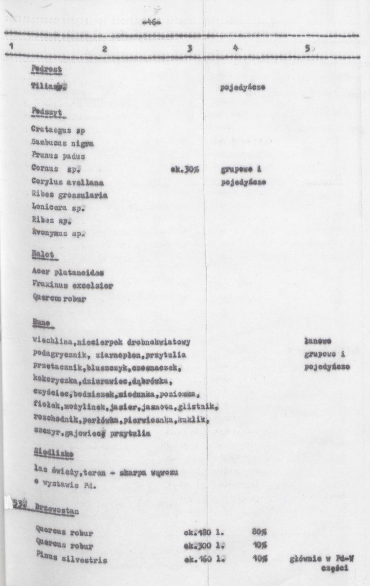 Ewidencja parkowa, skan nr 88