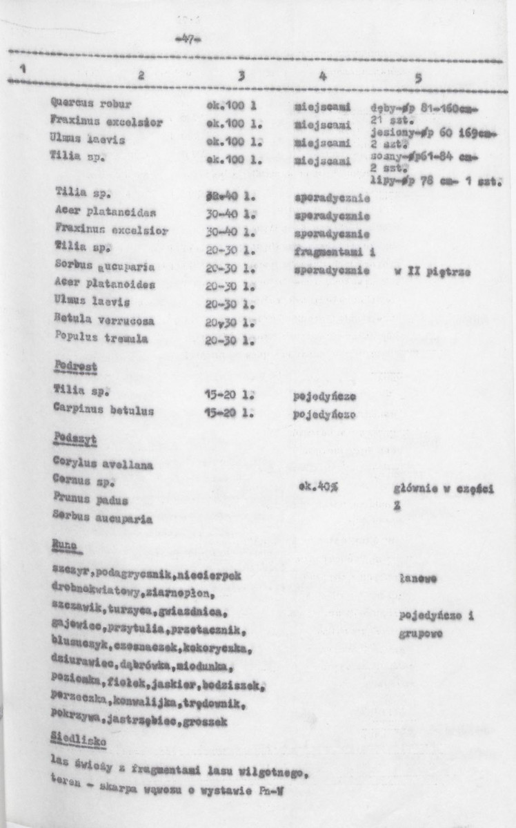 Ewidencja parkowa, skan nr 89