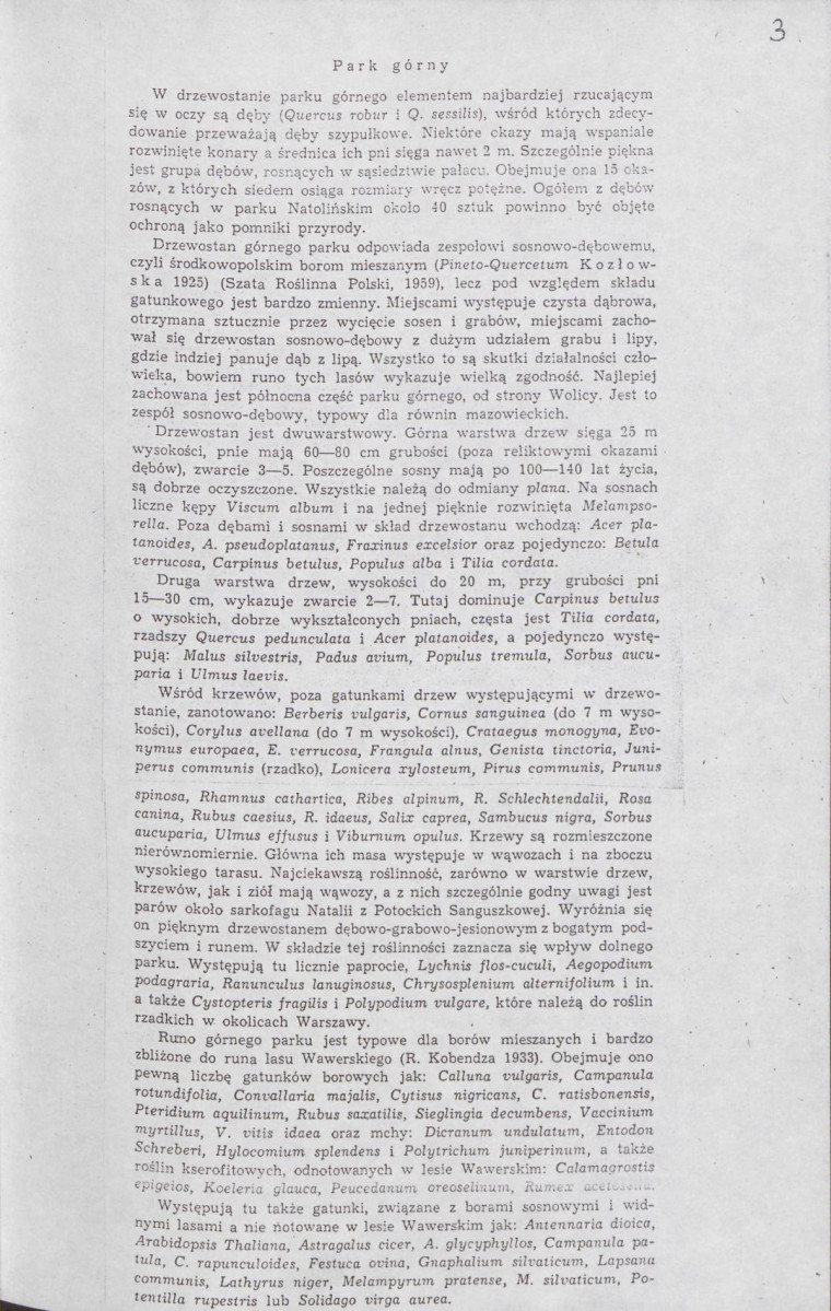 Ewidencja parkowa, skan nr 96