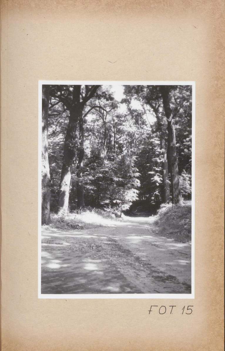 Ewidencja parkowa, skan nr 137