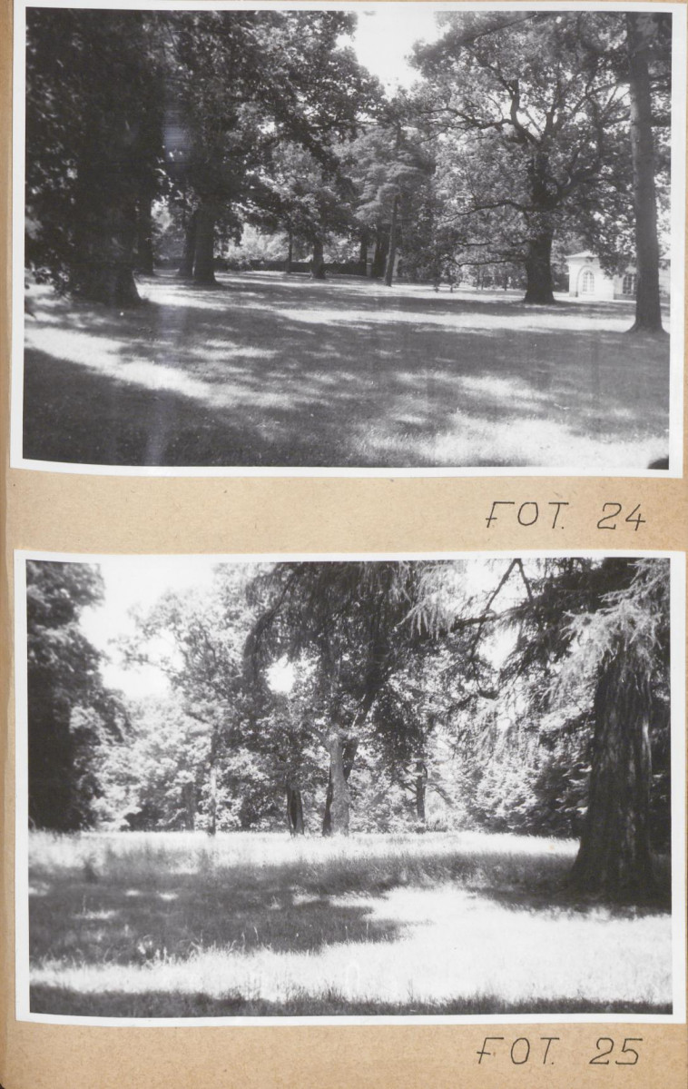 Ewidencja parkowa, skan nr 143