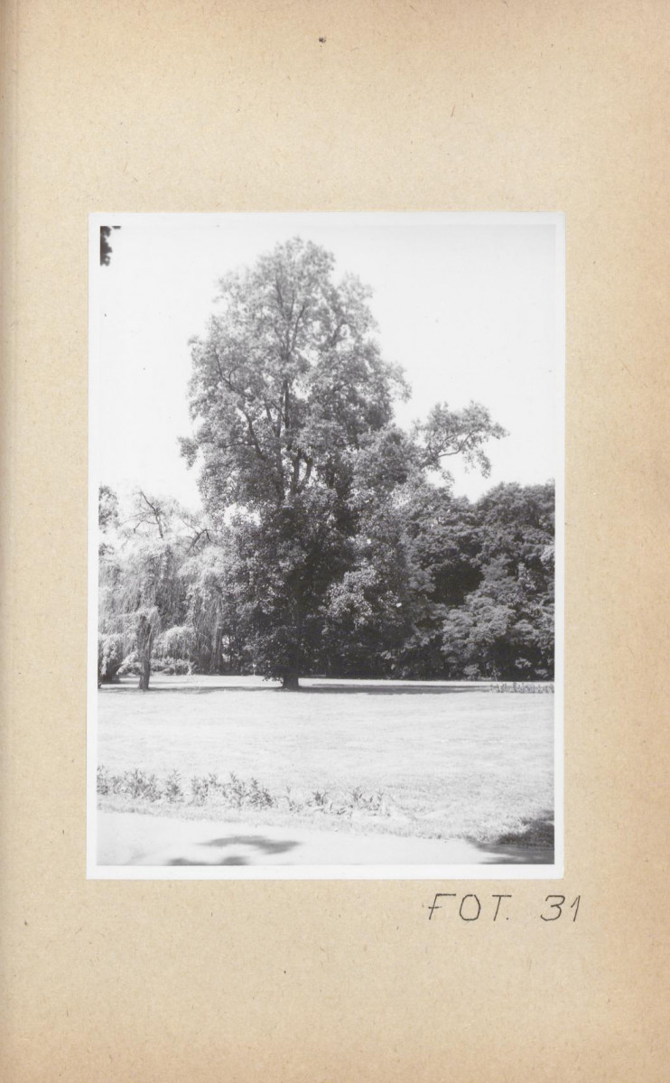Ewidencja parkowa, skan nr 147