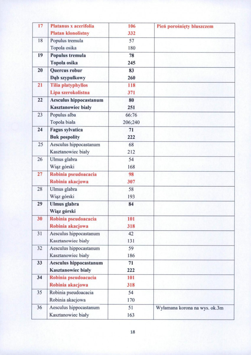 inna, skan nr 18
