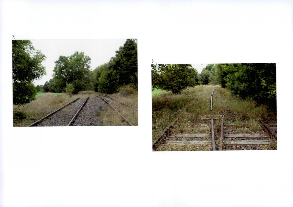 Karta biała, skan nr 116