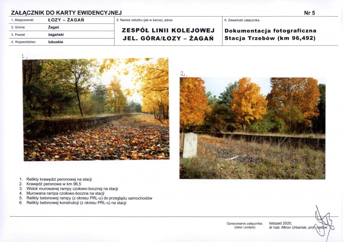 Karta biała, skan nr 13