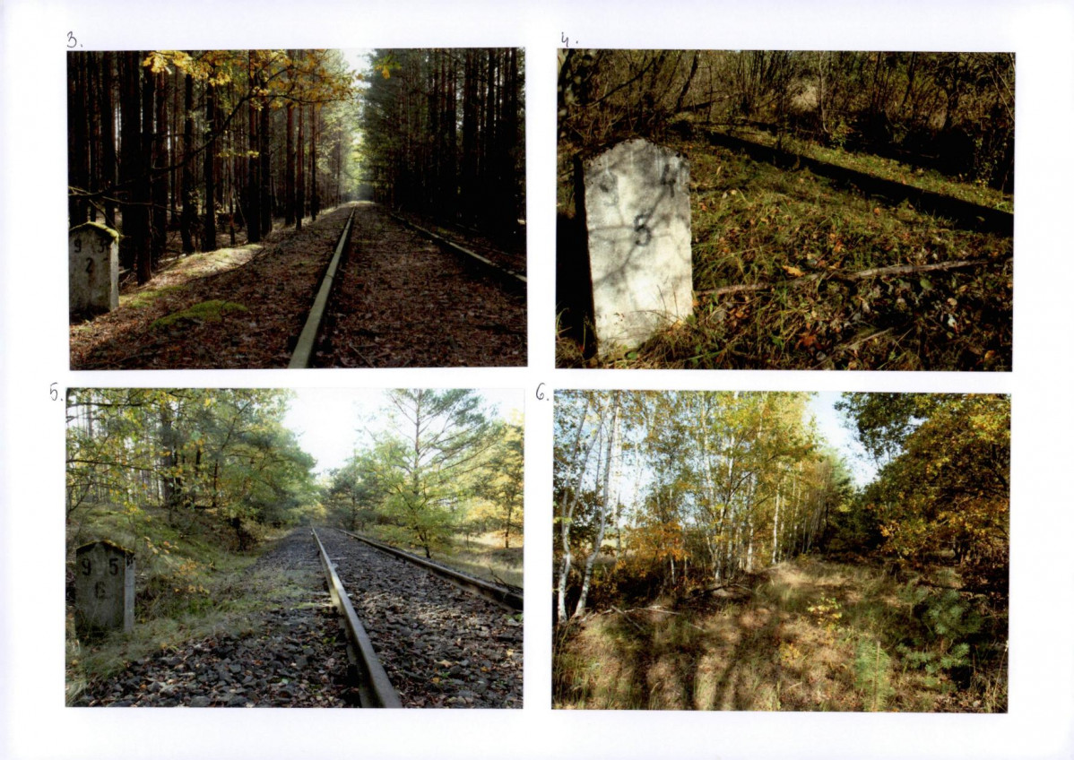 Karta biała, skan nr 34