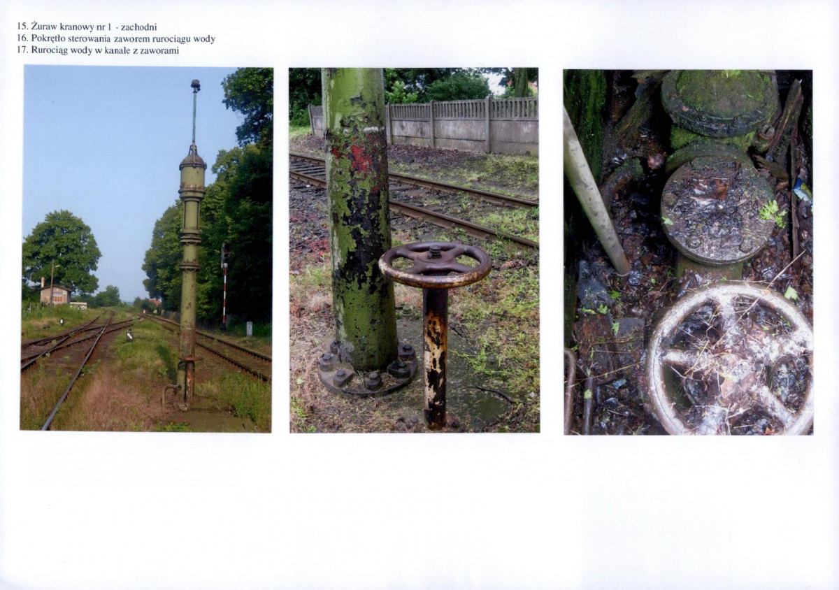 Karta biała, skan nr 12