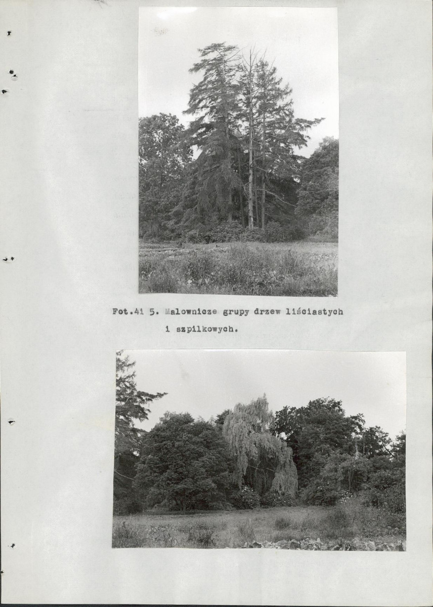 Ewidencja parkowa, skan nr 83