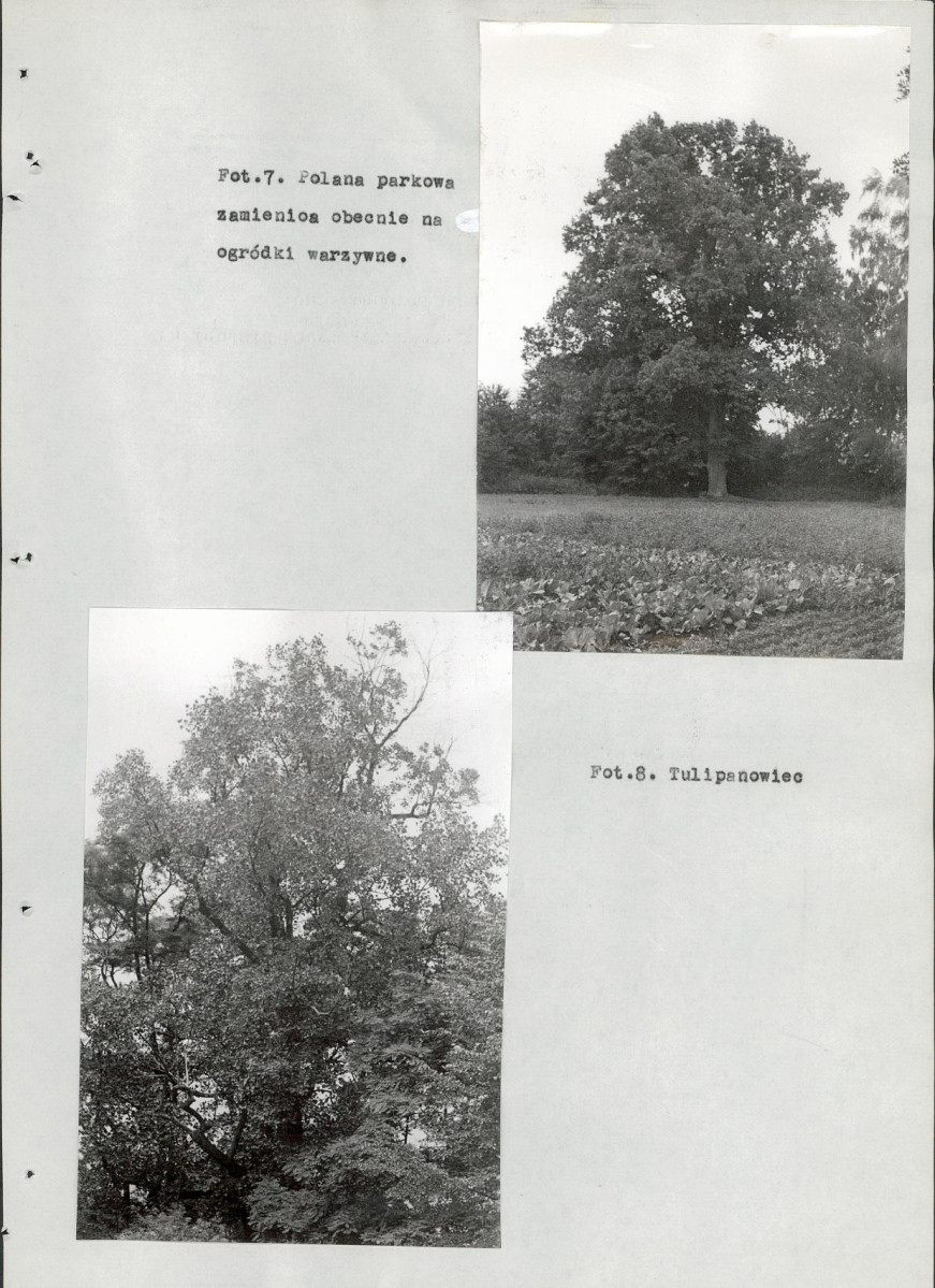 Ewidencja parkowa, skan nr 85