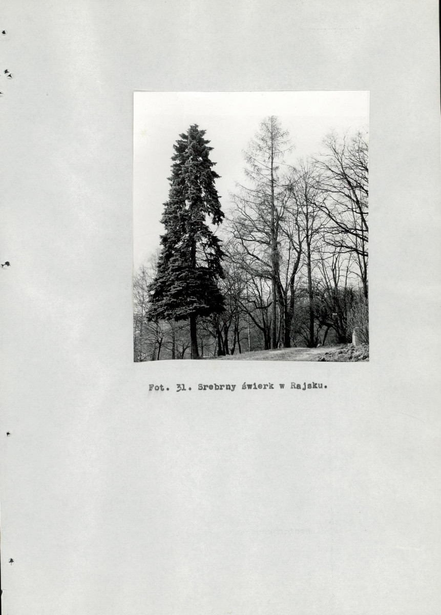 Ewidencja parkowa, skan nr 99