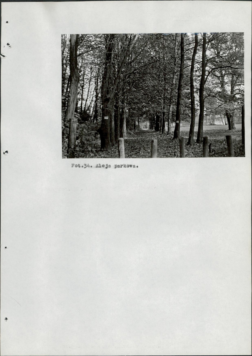 Ewidencja parkowa, skan nr 102