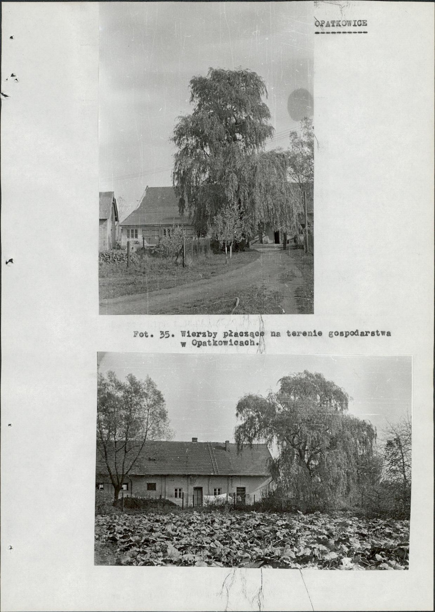 Ewidencja parkowa, skan nr 103
