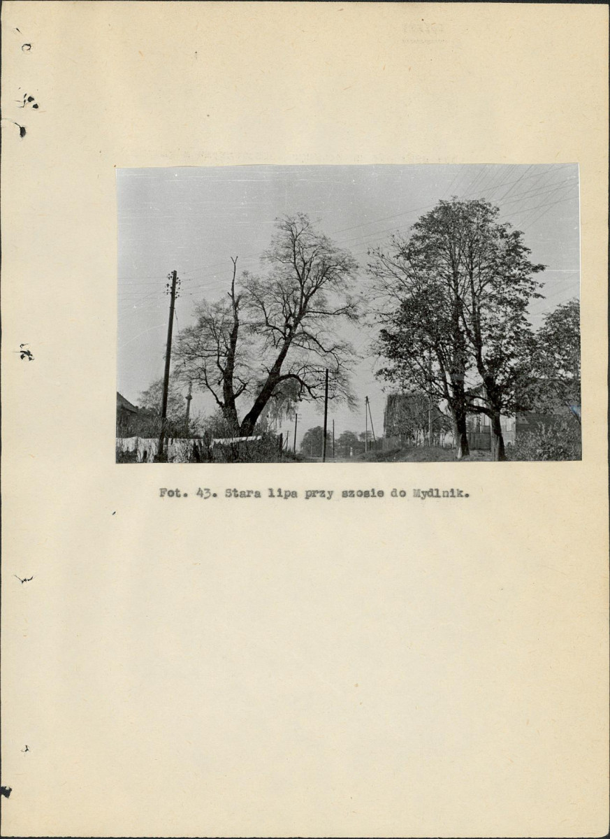Ewidencja parkowa, skan nr 108