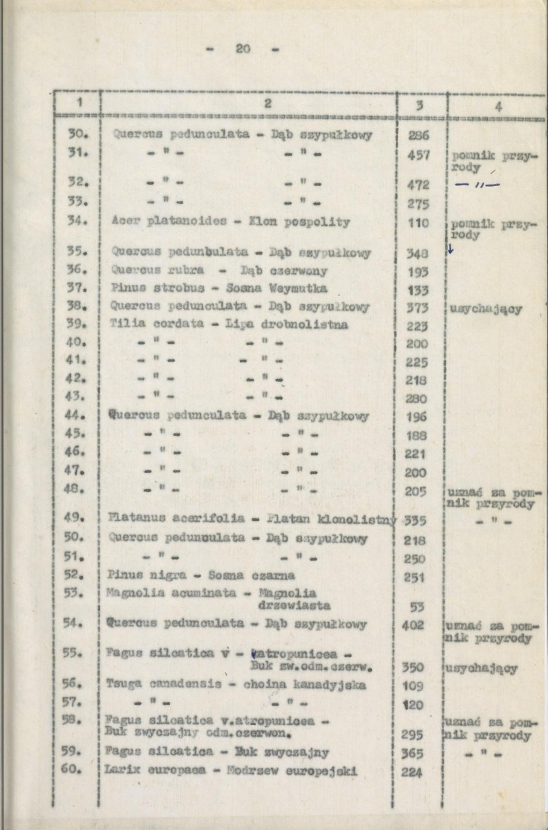 Ewidencja parkowa, skan nr 26
