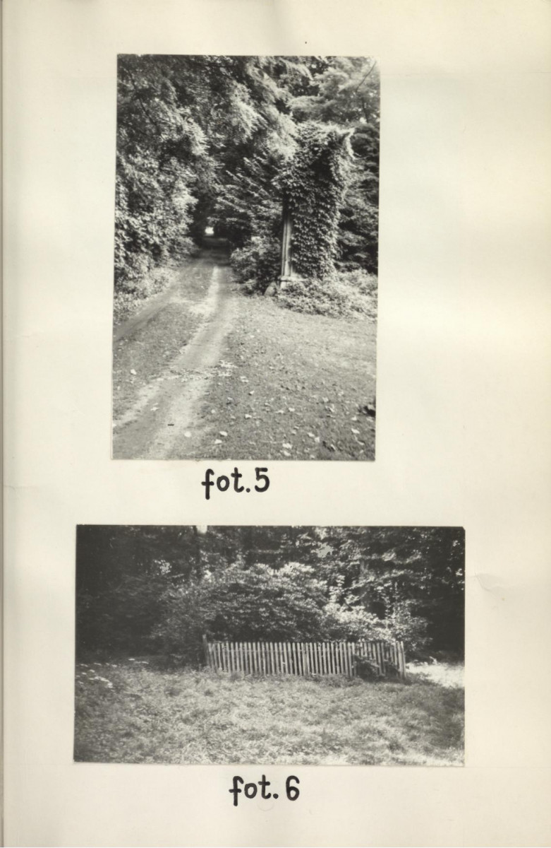 Ewidencja parkowa, skan nr 36