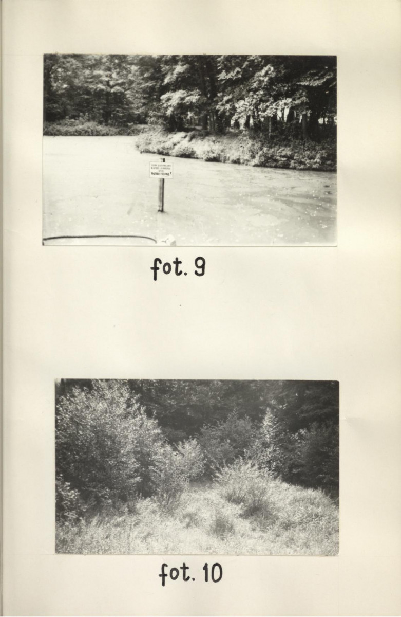 Ewidencja parkowa, skan nr 38