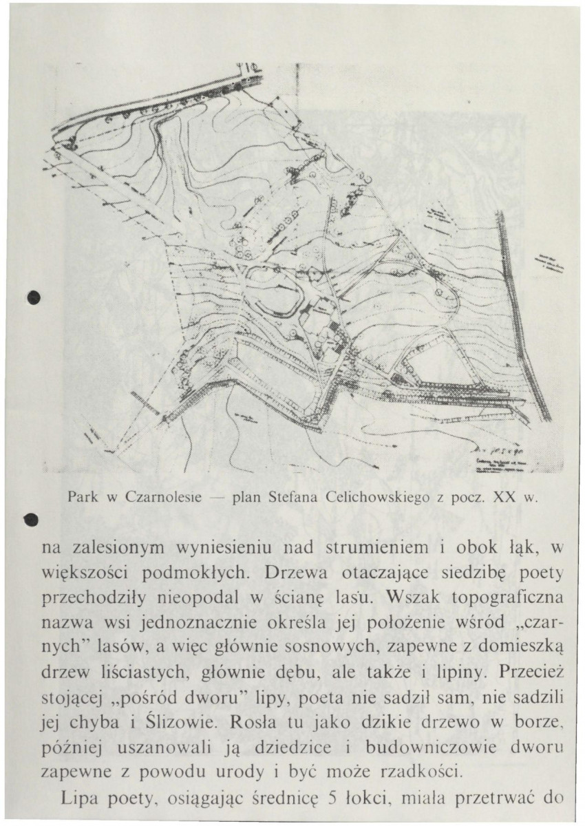EP - Ewidencja parkowa, skan nr 43
