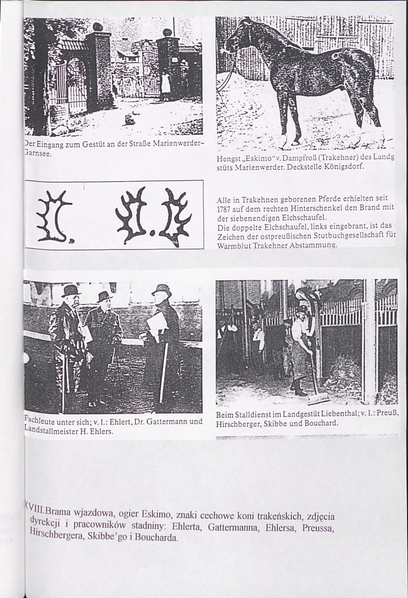 EP - Ewidencja parkowa, skan nr 80