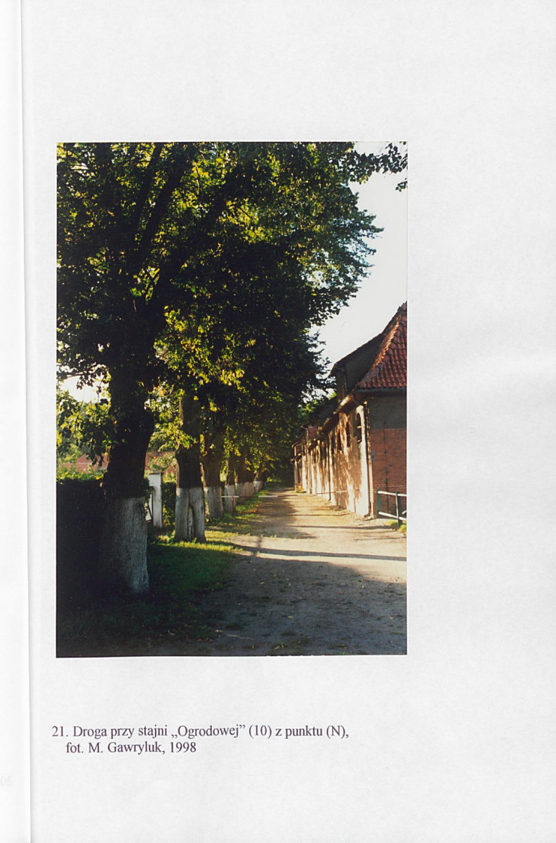 EP - Ewidencja parkowa, skan nr 103