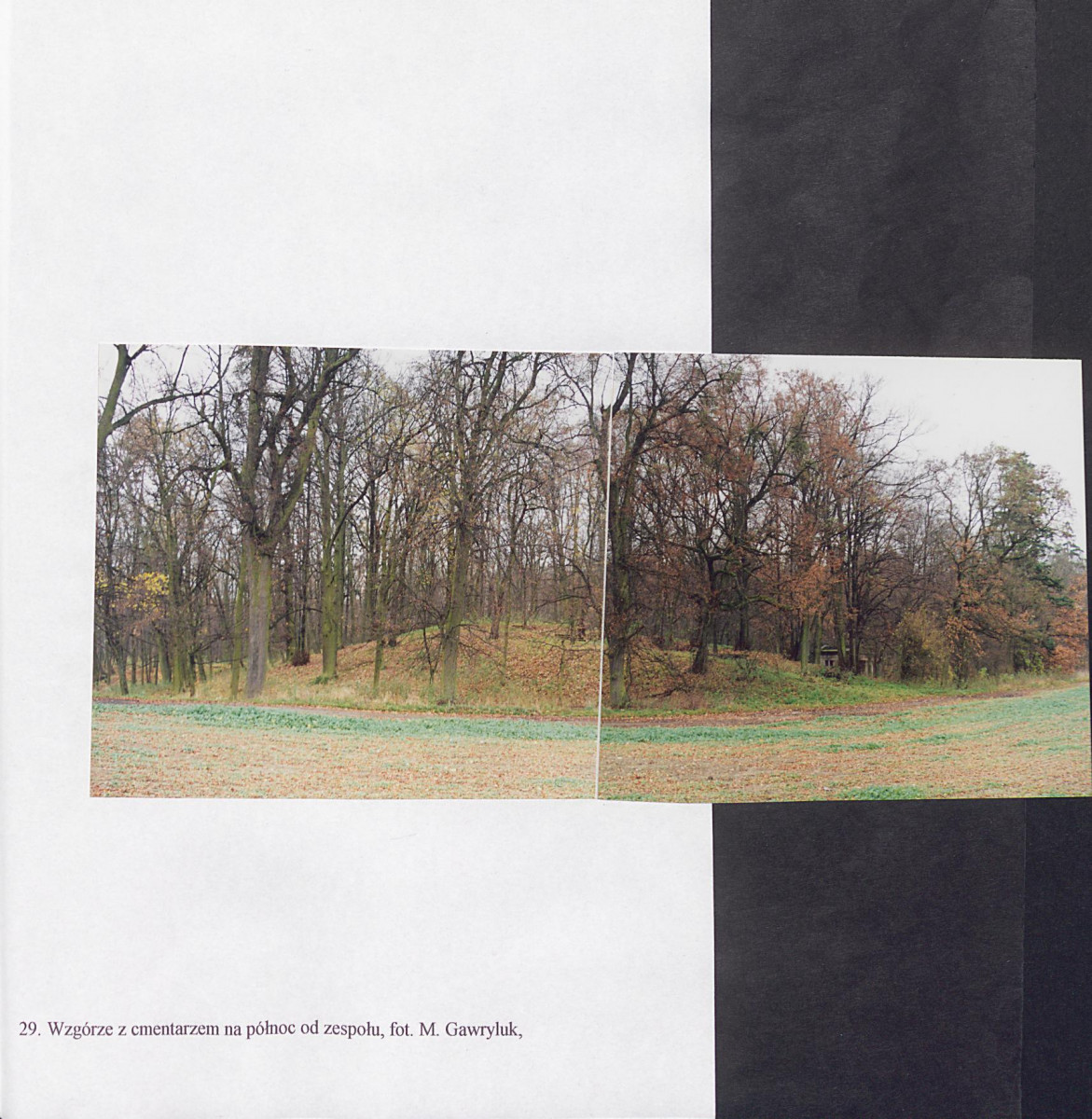 EP - Ewidencja parkowa, skan nr 91