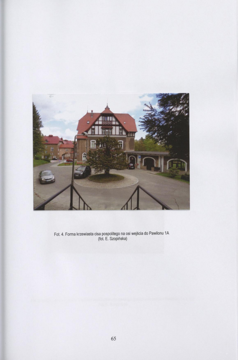Ewidencja parkowa, skan nr 66