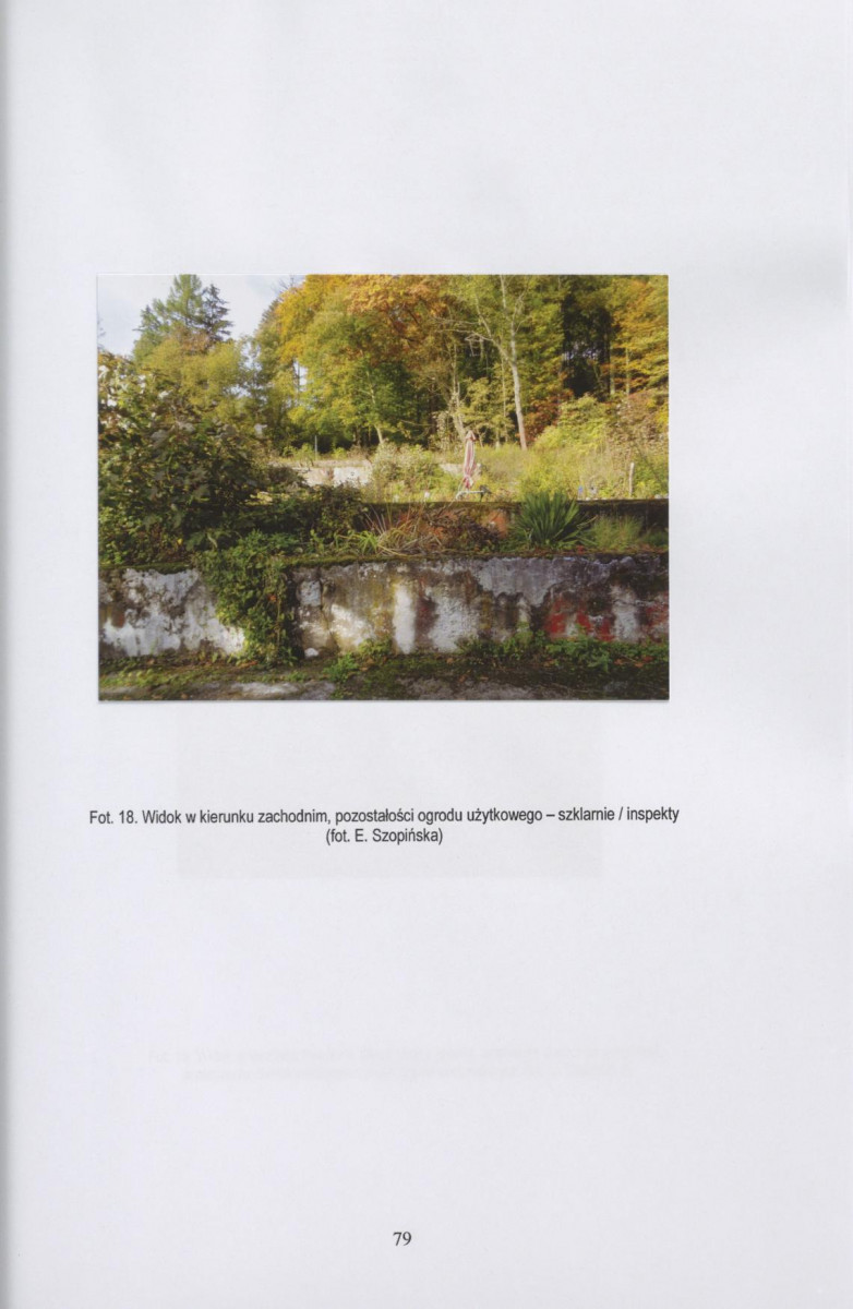 Ewidencja parkowa, skan nr 80