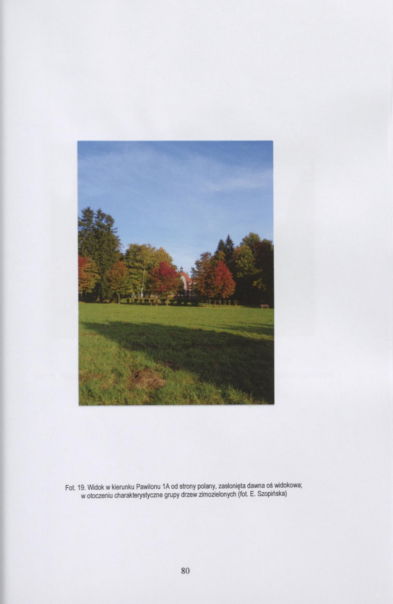 Ewidencja parkowa, skan nr 81