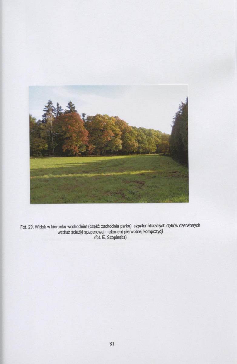 Ewidencja parkowa, skan nr 82