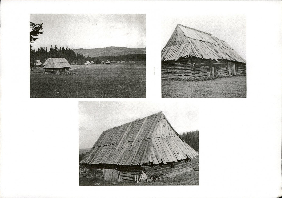 KB - Karta biała, skan nr 6