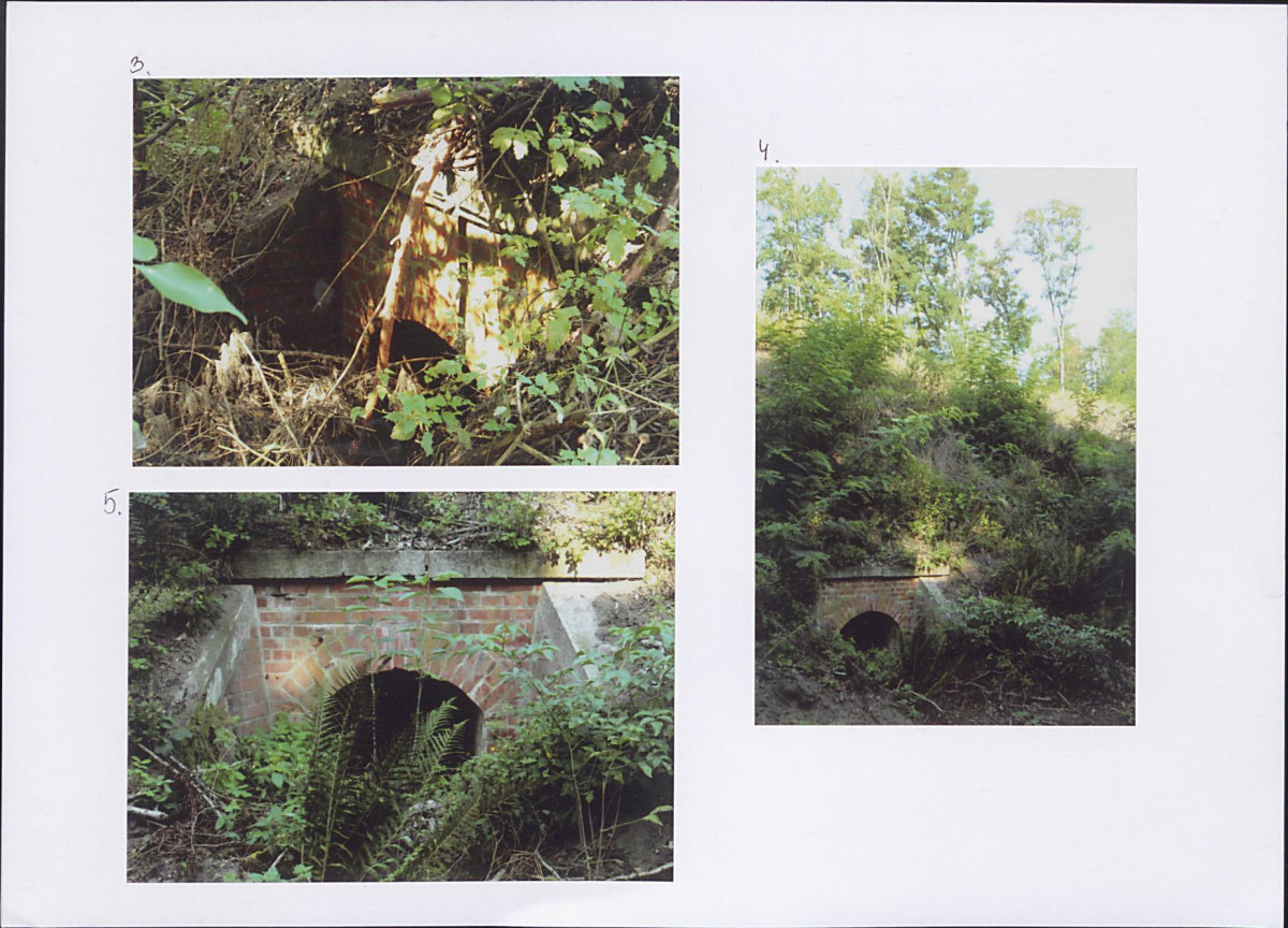 KB - Karta biała, skan nr 76