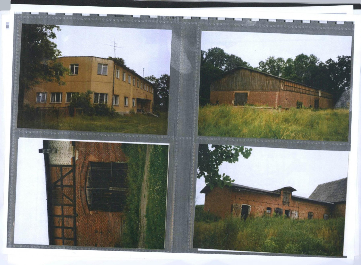 inna, skan nr 6