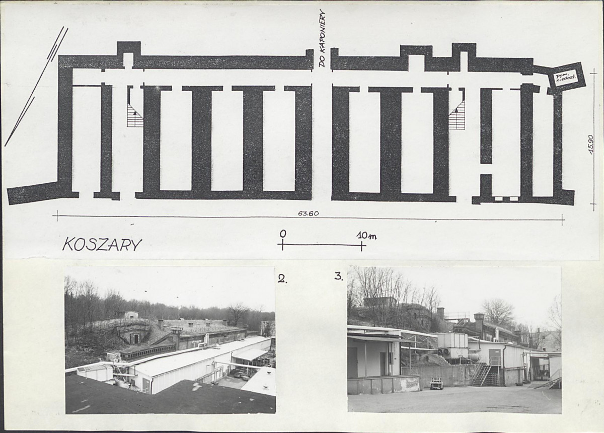 Karta biała, skan nr 66